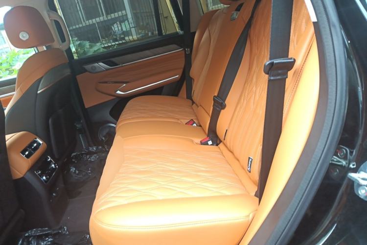 Used Tank 500 New Energy 2026 Model—Hi4-T Smart Enjoyment Version Left Rear Seat