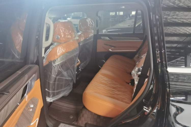 Used Tank 500 New Energy 2026 Model—Hi4-Z Smart Enjoyment Version Left Rear Seat