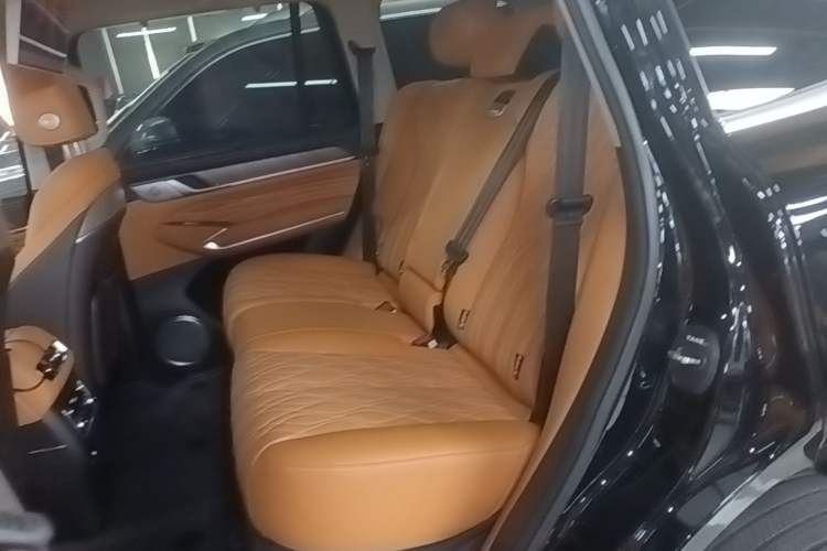 Used Tank 500 New Energy 2026 Model—Hi4-T Smart Enjoyment Version Left Rear Seat