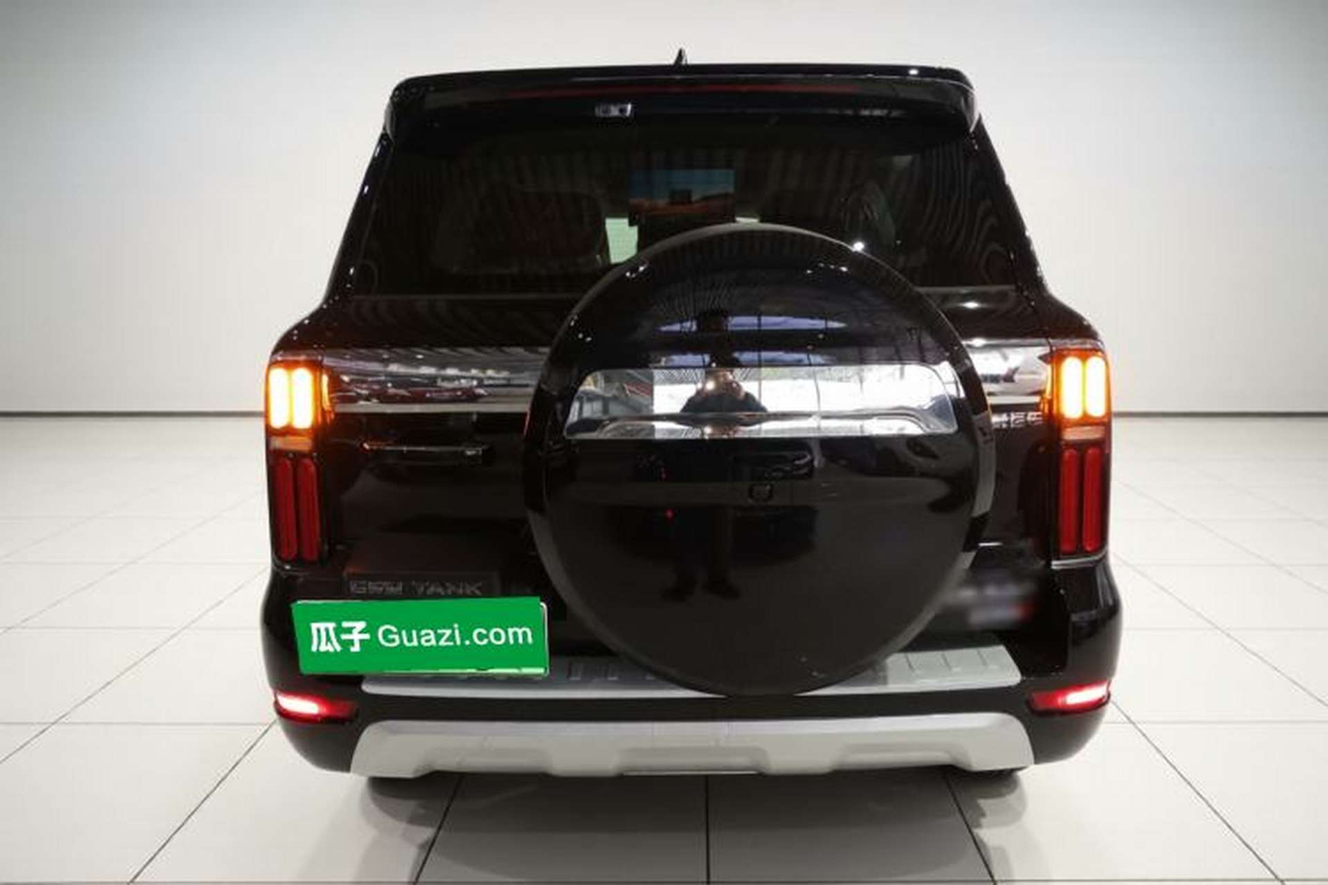 Used Tank 500 New Energy 2026 Model—Hi4-T Smart Enjoyment Version Rear