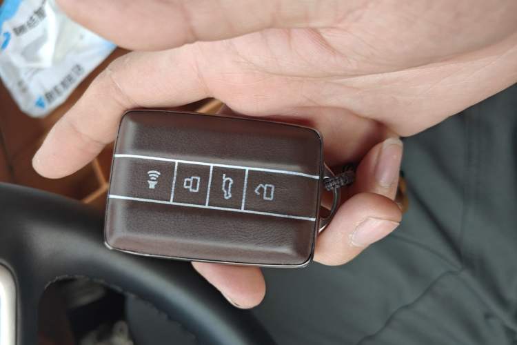 Used Tank 500 New Energy 2026 Model—Hi4-Z Smart Enjoyment Version Vehicle Key