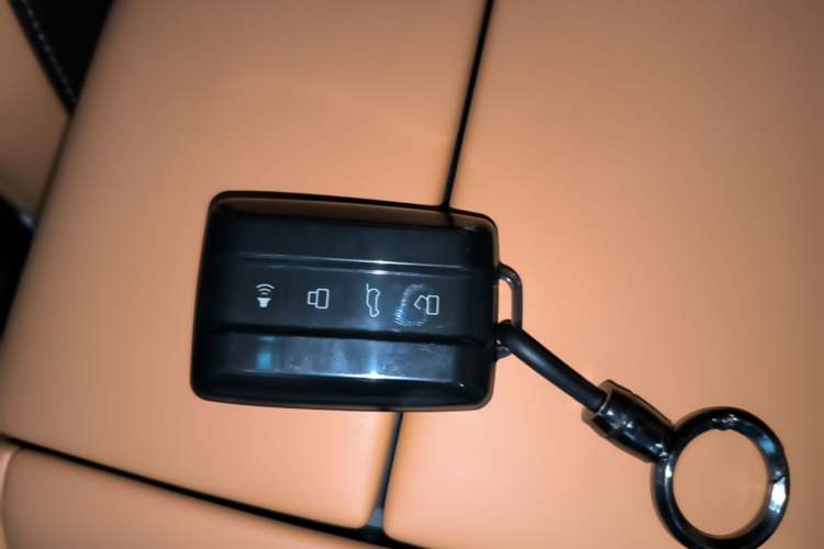 Used Tank 500 New Energy 2026 Model—Hi4-T Smart Enjoyment Version Vehicle Key