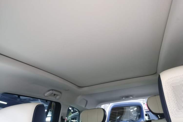 Used Tank 500 New Energy 2026 Model—Hi4-T Standard Version Headliner
