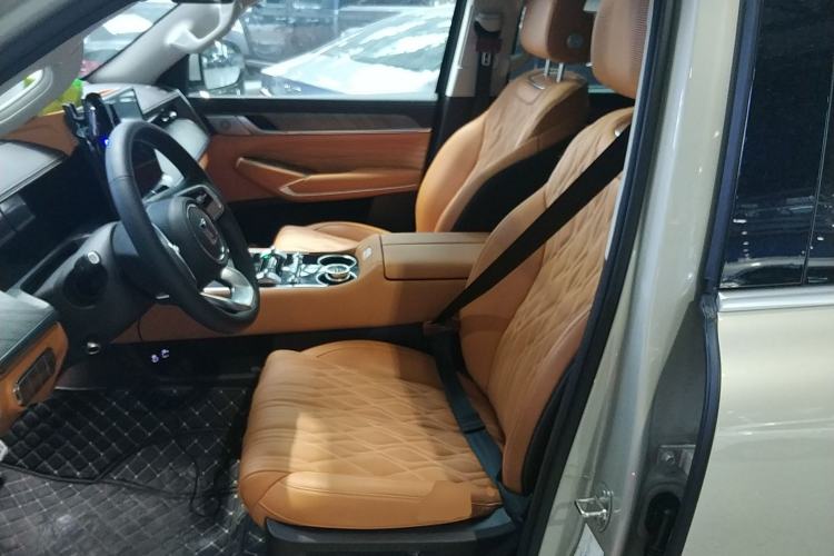 Used Tank 500 New Energy 2026 Model—Hi4-Z Smart Enjoyment Version Left Front Seat