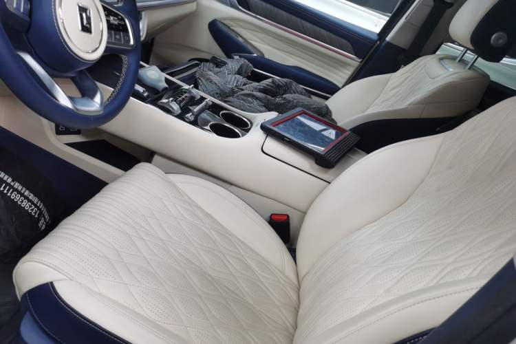 Used Tank 500 New Energy 2026 Model—Hi4-T Standard Version Left Front Seat