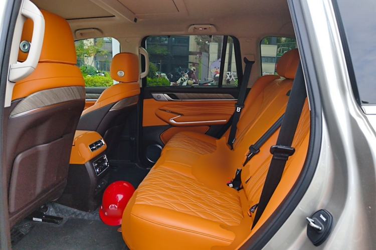 Used Tank 500 New Energy 2026 Model—Hi4-Z Smart Enjoyment Version Left Rear Seat