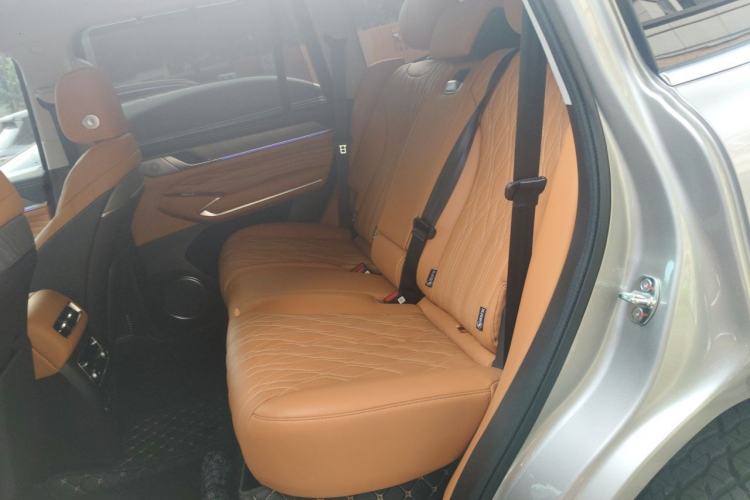 Used Tank 500 New Energy 2026 Model—Hi4-Z Smart Enjoyment Version Left Rear Seat