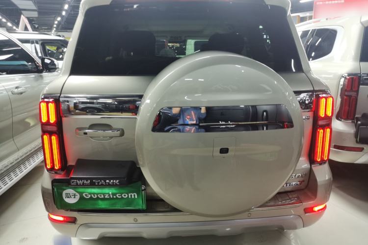 Used Tank 500 New Energy 2026 Model—Hi4-T Standard Version Rear