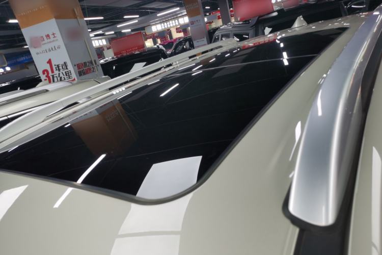 Used Tank 500 New Energy 2026 Model—Hi4-T Standard Version Roof