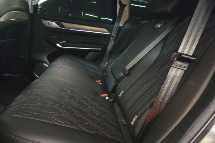 Used Tank 500 New Energy 2026 Model—Hi4-Z Smart Enjoyment Version Left Rear Seat