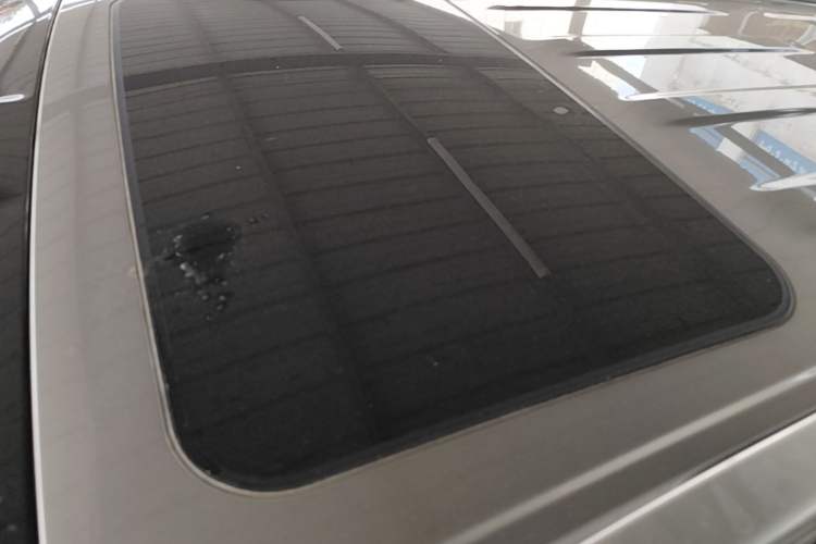 Used Tank 500 New Energy 2026 Model—Hi4-Z Smart Enjoyment Version Roof