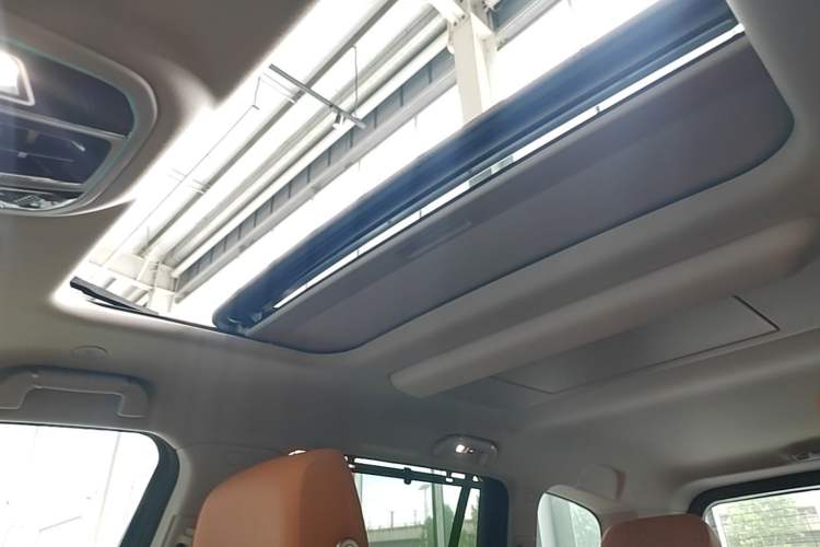 Used Tank 500 New Energy 2026 Model—Hi4-Z Smart Enjoyment Version Headliner