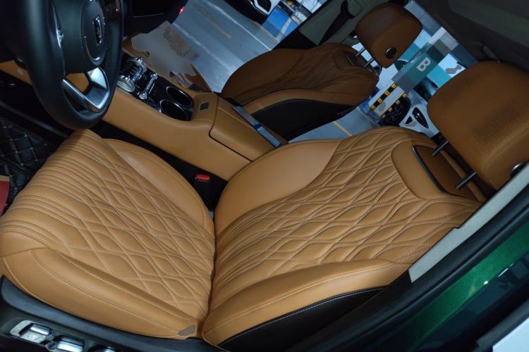 Used Tank 500 New Energy 2026 Model—Hi4-Z Smart Enjoyment Version Left Front Seat