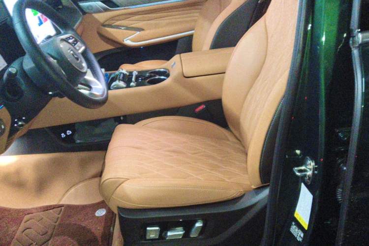Used Tank 500 New Energy 2026 Model—Hi4-Z Smart Enjoyment Version Left Front Seat