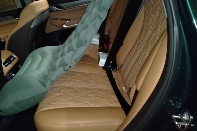 Used Tank 500 New Energy 2026 Model—Hi4-Z Smart Enjoyment Version Left Rear Seat