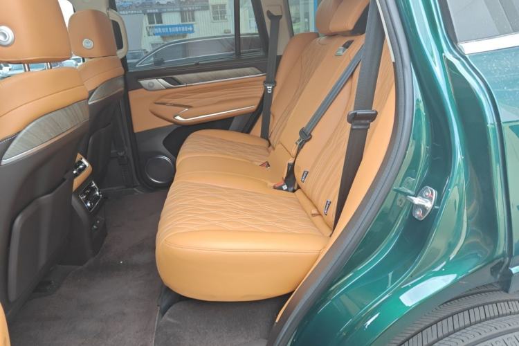 Used Tank 500 New Energy 2026 Model—Hi4-Z Smart Enjoyment Version Left Rear Seat