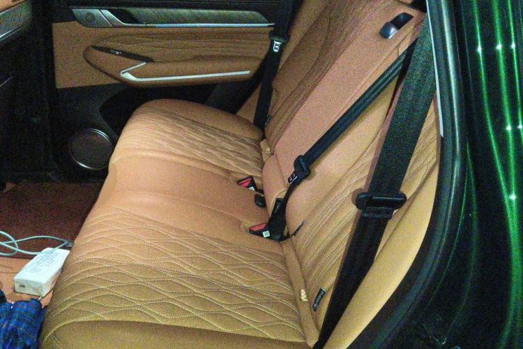 Used Tank 500 New Energy 2026 Model—Hi4-Z Smart Enjoyment Version Left Rear Seat