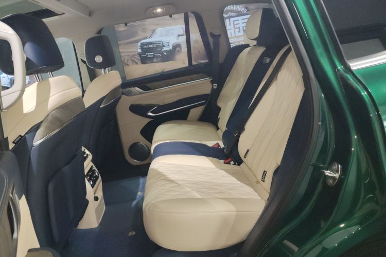 Used Tank 500 New Energy 2026 Model—Hi4-Z Smart Enjoyment Version Left Rear Seat