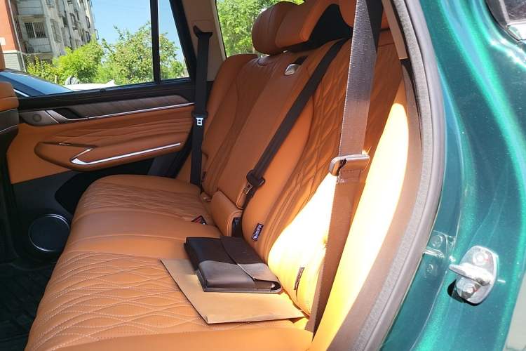 Used Tank 500 New Energy 2026 Model—Hi4-Z Smart Enjoyment Version Left Rear Seat
