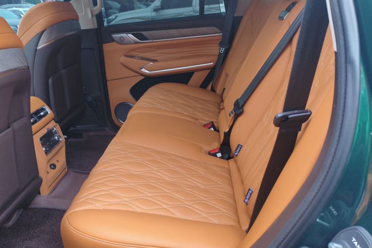 Used Tank 500 New Energy 2026 Model—Hi4-Z Smart Enjoyment Version Left Rear Seat