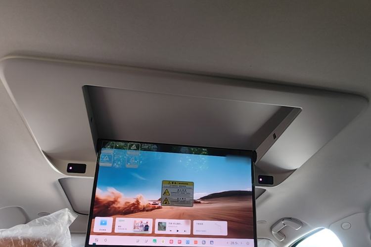 Used Tank 500 New Energy 2026 Model—Hi4-Z Smart Enjoyment Version Headliner