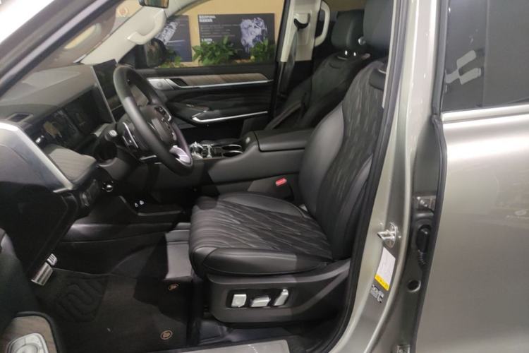 Used Tank 500 New Energy 2026 Model—Hi4-T Smart Enjoyment Version Left Front Seat