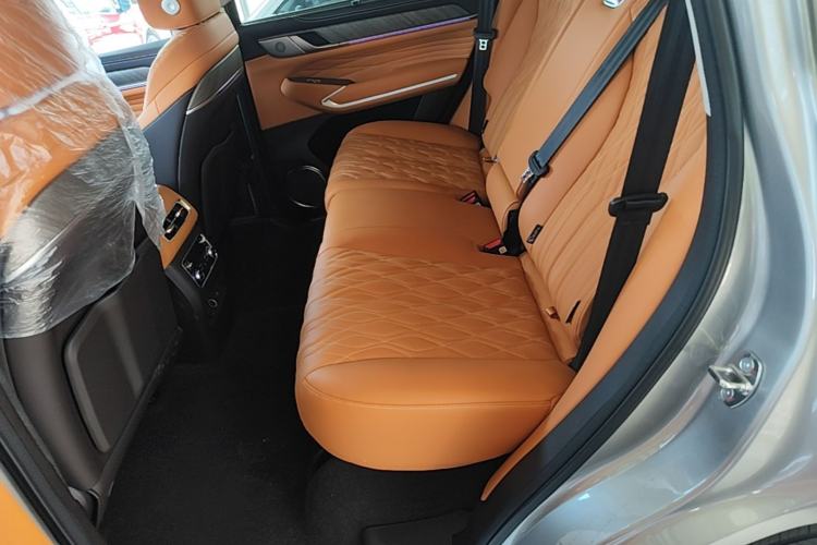 Used Tank 500 New Energy 2026 Model—Hi4-Z Smart Enjoyment Version Left Rear Seat