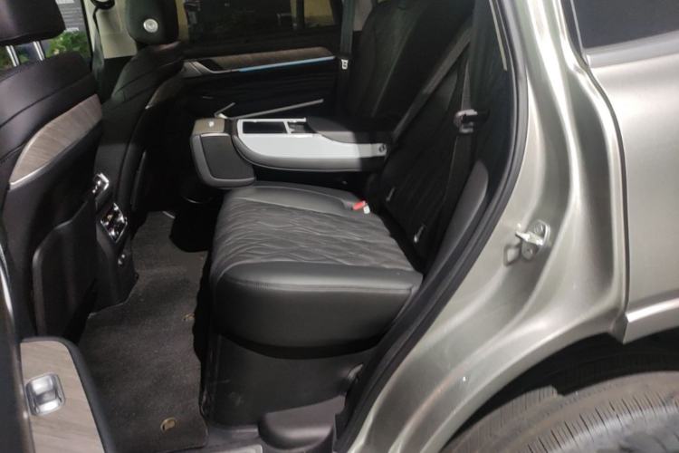 Used Tank 500 New Energy 2026 Model—Hi4-T Smart Enjoyment Version Left Rear Seat
