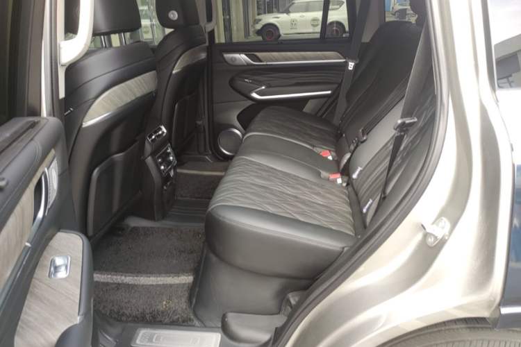 Used Tank 500 New Energy 2026 Model—Hi4-T Smart Enjoyment Version Left Rear Seat