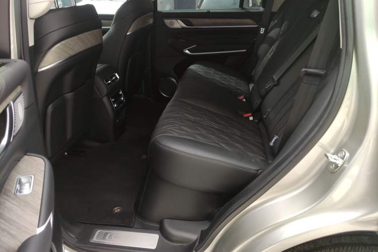 Used Tank 500 New Energy 2026 Model—Hi4-T Smart Enjoyment Version Left Rear Seat