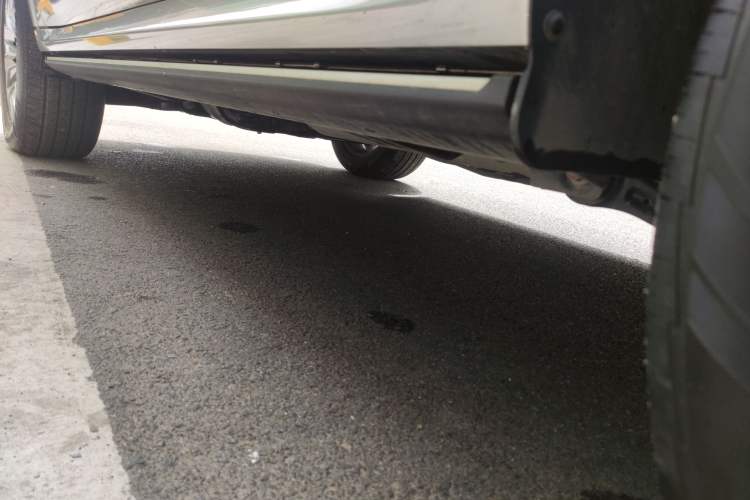 Used Tank 500 New Energy 2026 Model—Hi4-T Smart Enjoyment Version Left Side Sill