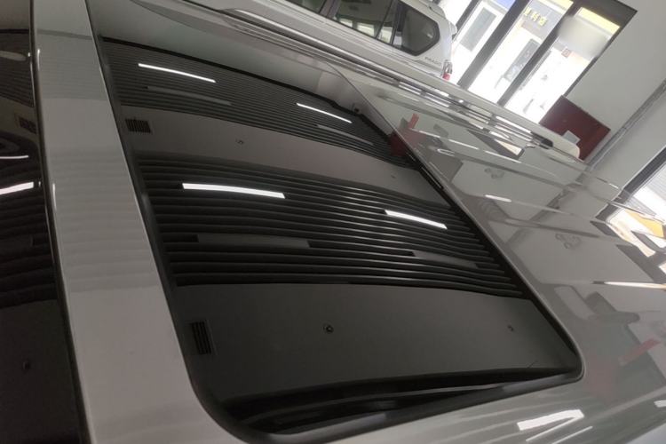 Used Tank 500 New Energy 2026 Model—Hi4-Z Smart Enjoyment Version Roof