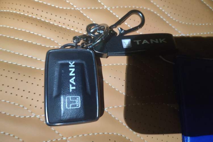 Used Tank 500 New Energy 2026 Model—Hi4-T Smart Enjoyment Version Vehicle Key