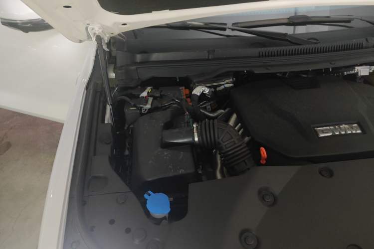 Used Tank 500 New Energy 2026 Model—Hi4-Z Smart Enjoyment Version Engine Bay Right