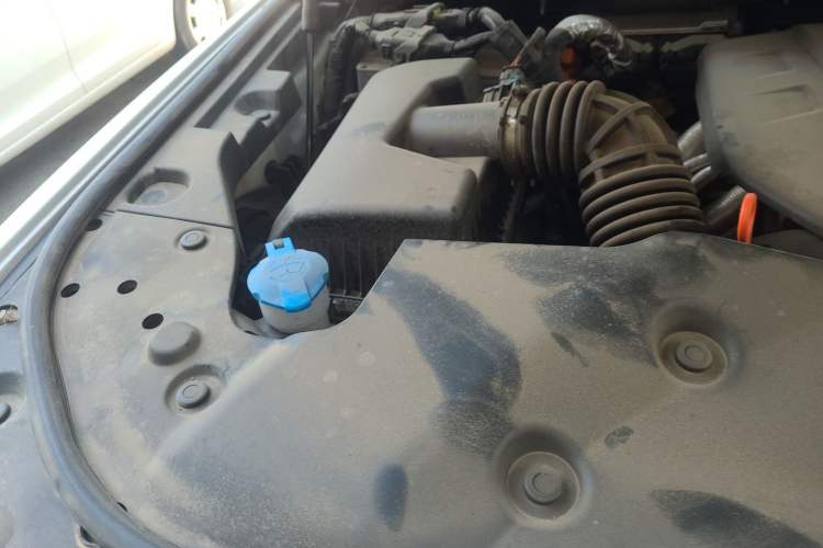 Used Tank 500 New Energy 2026 Model—Hi4-Z Smart Enjoyment Version Engine Bay Right