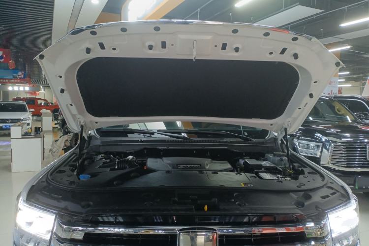 Used Tank 500 New Energy 2026 Model—Hi4-T Smart Enjoyment Version Engine Bay