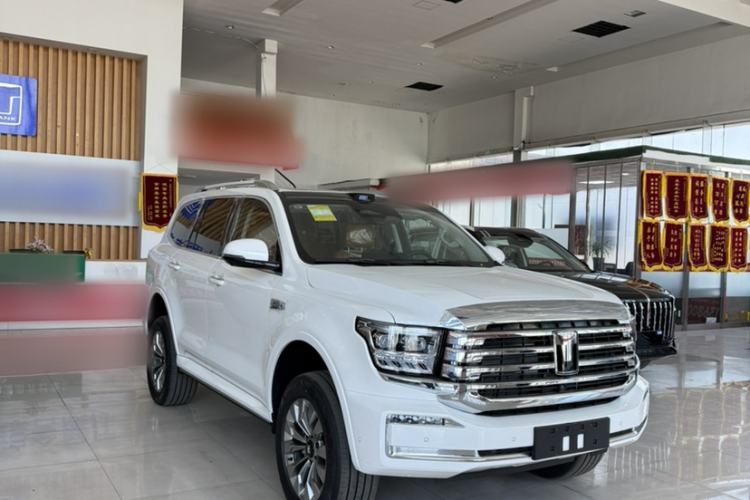 Used Tank 500 New Energy 2026 Model—Hi4-Z Smart Enjoyment Version Exterior 2