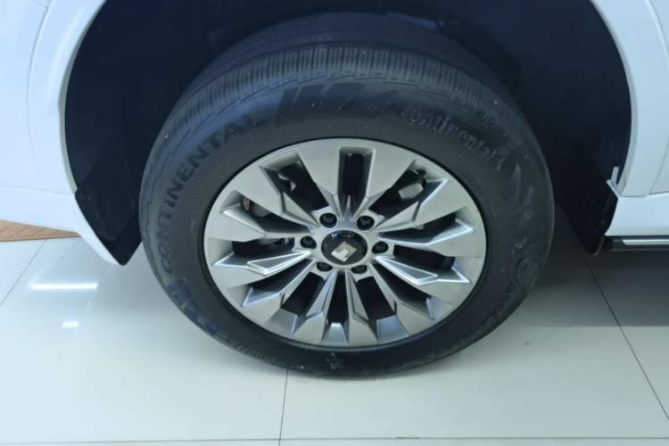 Used Tank 500 New Energy 2026 Model—Hi4-T Smart Enjoyment Version Exterior 5