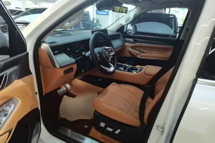 Used Tank 500 New Energy 2026 Model—Hi4-T Smart Enjoyment Version Left Front Seat