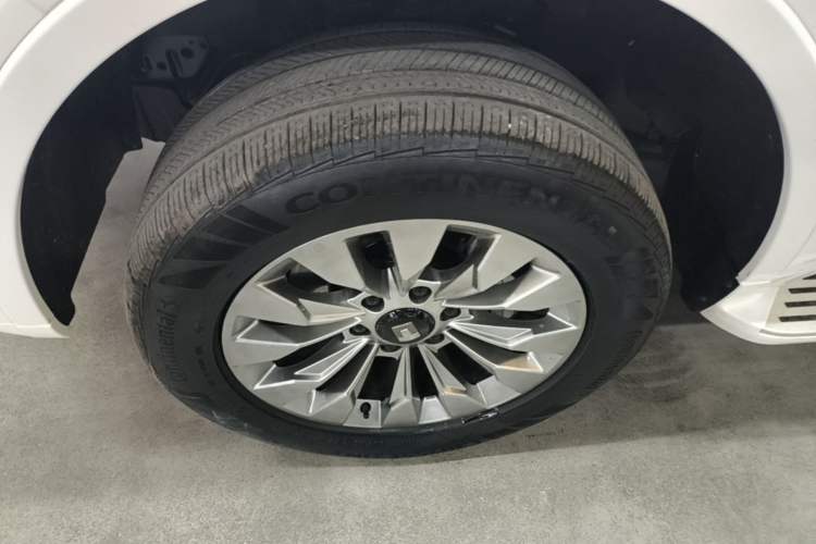 Used Tank 500 New Energy 2026 Model—Hi4-Z Smart Enjoyment Version Left Front Wheel Hub