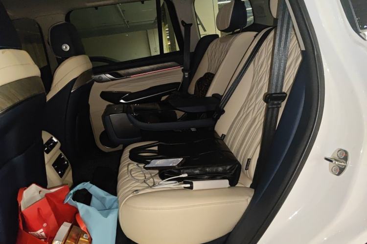 Used Tank 500 New Energy 2026 Model—Hi4-Z Smart Enjoyment Version Left Rear Seat