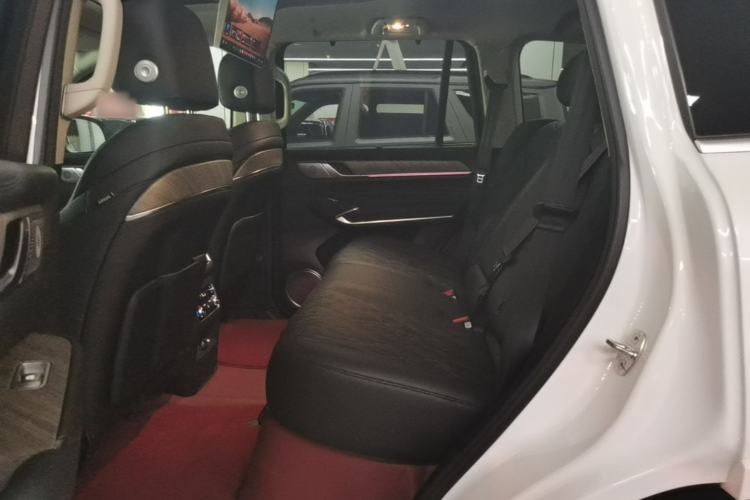 Used Tank 500 New Energy 2026 Model—Hi4-T Smart Enjoyment Version Left Rear Seat