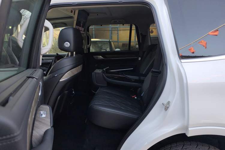 Used Tank 500 New Energy 2026 Model—Hi4-T Smart Enjoyment Version Left Rear Seat