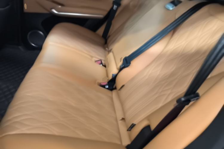 Used Tank 500 New Energy 2026 Model—Hi4-Z Smart Enjoyment Version Left Rear Seat