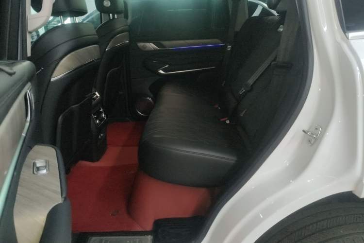 Used Tank 500 New Energy 2026 Model—Hi4-T Smart Enjoyment Version Left Rear Seat