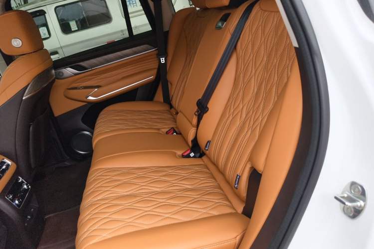 Used Tank 500 New Energy 2026 Model—Hi4-Z Smart Enjoyment Version Left Rear Seat