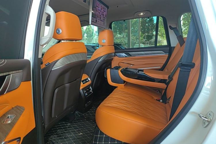 Used Tank 500 New Energy 2026 Model—Hi4-T Smart Enjoyment Version Left Rear Seat