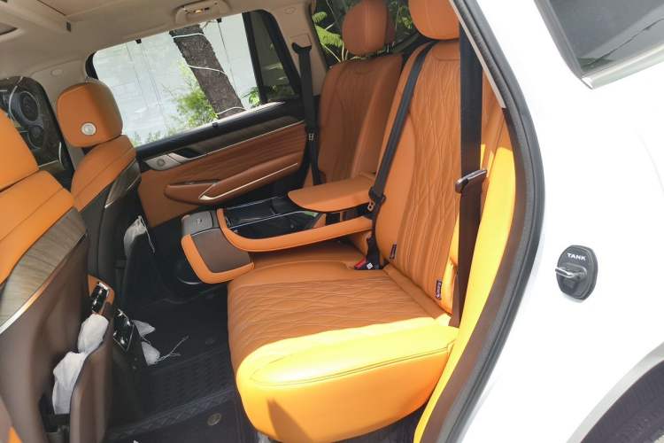 Used Tank 500 New Energy 2026 Model—Hi4-Z Smart Enjoyment Version Left Rear Seat