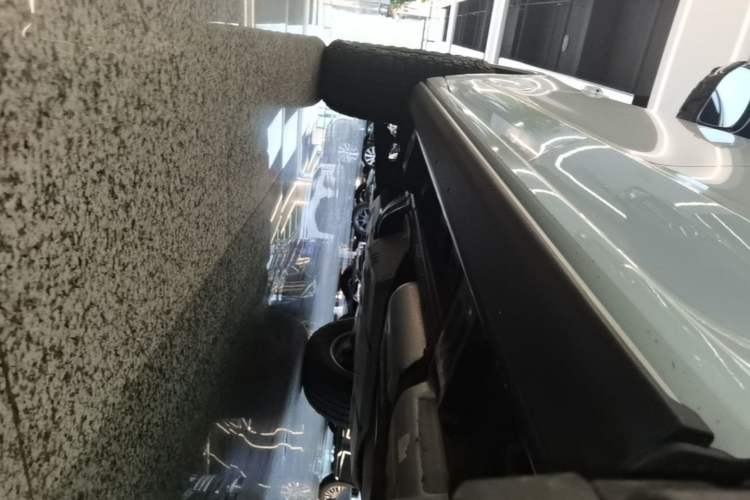 Used Tank 500 New Energy 2026 Model—Hi4-T Smart Enjoyment Version Left Side Sill