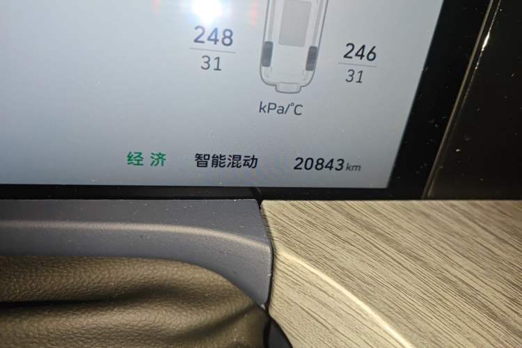 Used Tank 500 New Energy 2026 Model—Hi4-Z Smart Enjoyment Version Odometer Close Up